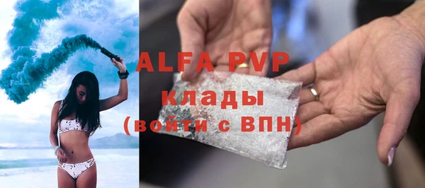 ПСИЛОЦИБИНОВЫЕ ГРИБЫ Белокуриха