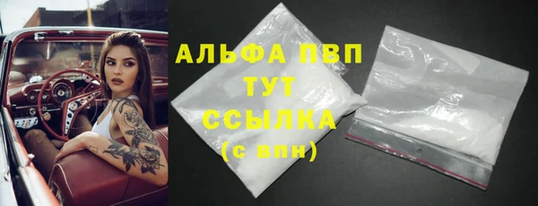 ПСИЛОЦИБИНОВЫЕ ГРИБЫ Белокуриха