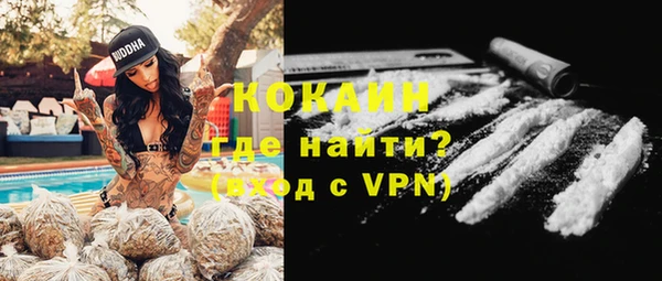 ПСИЛОЦИБИНОВЫЕ ГРИБЫ Белокуриха