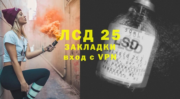 ПСИЛОЦИБИНОВЫЕ ГРИБЫ Белокуриха
