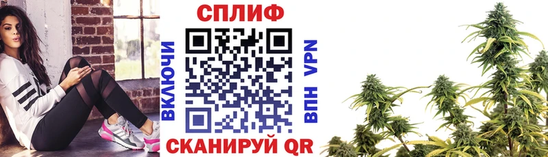где можно купить наркотик  МЕГА как войти  Марихуана SATIVA & INDICA  Высоцк 